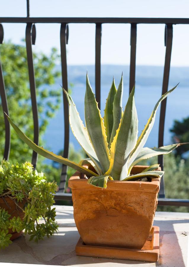Villa Anima, Stanici, Near Omis Exterior photo